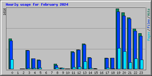 Hourly usage for February 2024