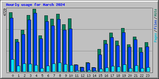 Hourly usage for March 2024