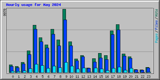 Hourly usage for May 2024