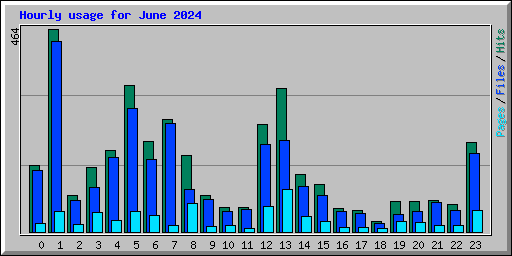 Hourly usage for June 2024