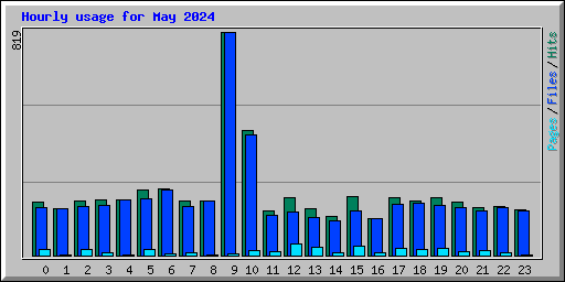 Hourly usage for May 2024
