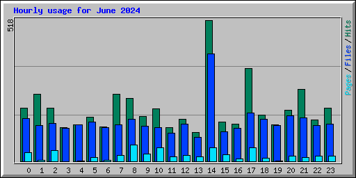 Hourly usage for June 2024
