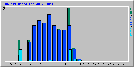 Hourly usage for July 2024