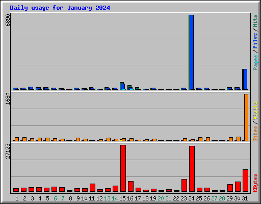 Daily usage for January 2024