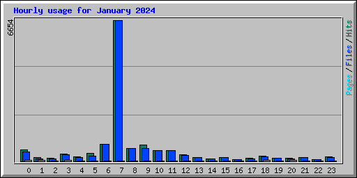 Hourly usage for January 2024