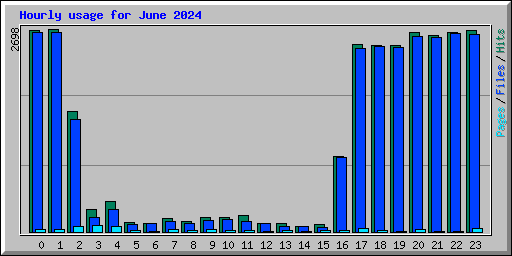 Hourly usage for June 2024