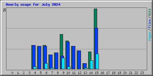 Hourly usage for July 2024