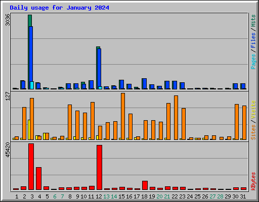 Daily usage for January 2024