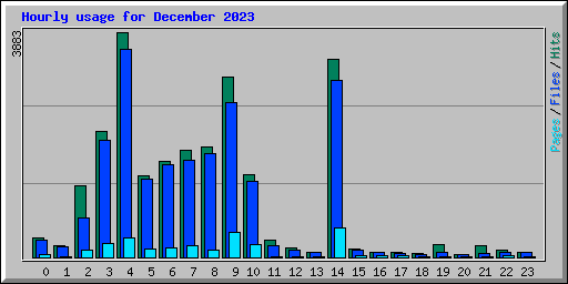 Hourly usage for December 2023