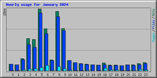 Hourly usage for January 2024