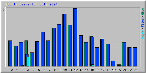 Hourly usage for July 2024