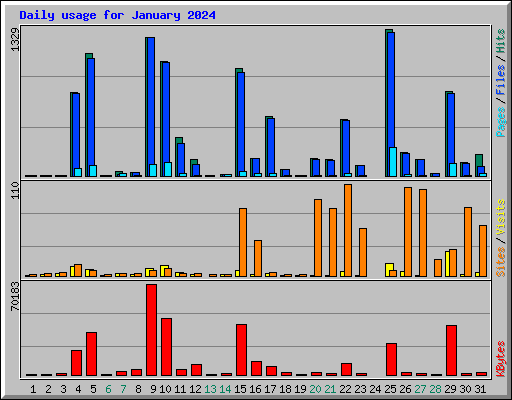 Daily usage for January 2024