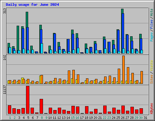 Daily usage for June 2024