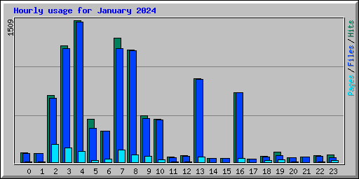 Hourly usage for January 2024