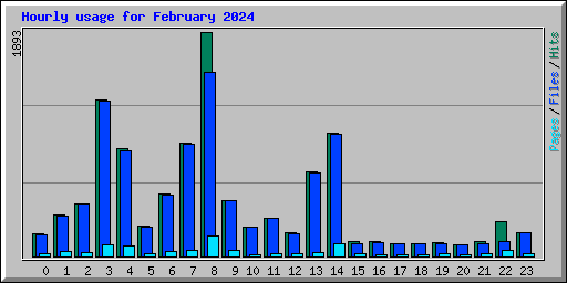 Hourly usage for February 2024
