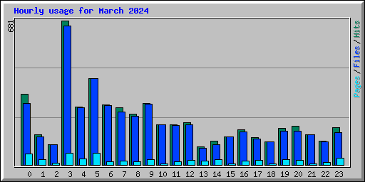 Hourly usage for March 2024