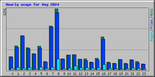 Hourly usage for May 2024