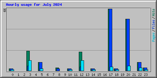 Hourly usage for July 2024