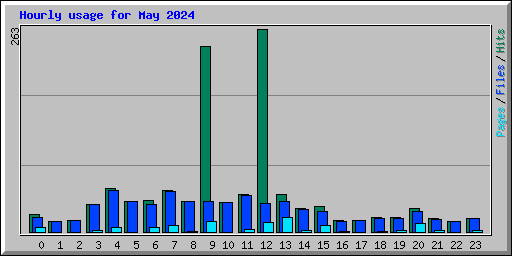 Hourly usage for May 2024