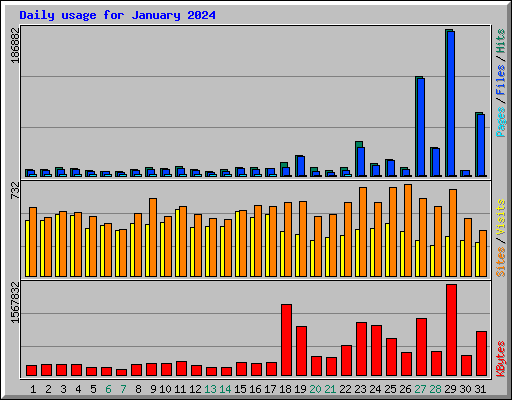 Daily usage for January 2024