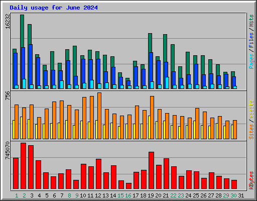 Daily usage for June 2024