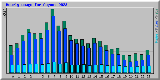 Hourly usage for August 2023