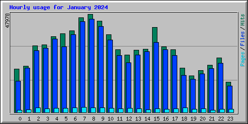 Hourly usage for January 2024