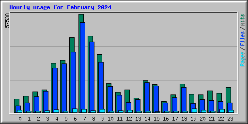 Hourly usage for February 2024