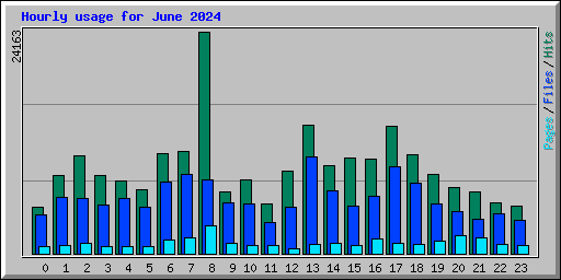 Hourly usage for June 2024