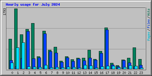 Hourly usage for July 2024