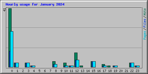 Hourly usage for January 2024