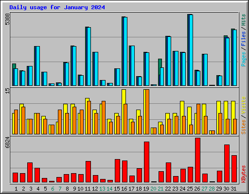 Daily usage for January 2024