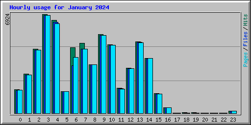 Hourly usage for January 2024