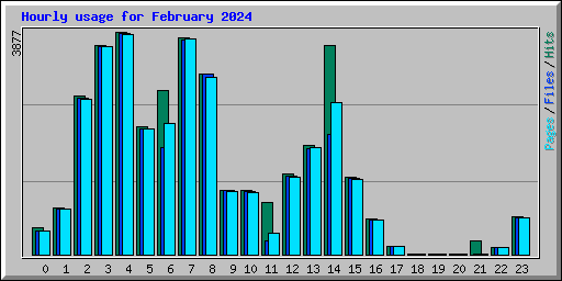 Hourly usage for February 2024