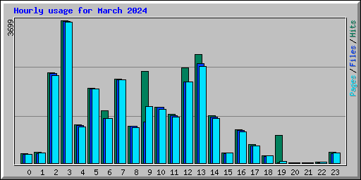Hourly usage for March 2024