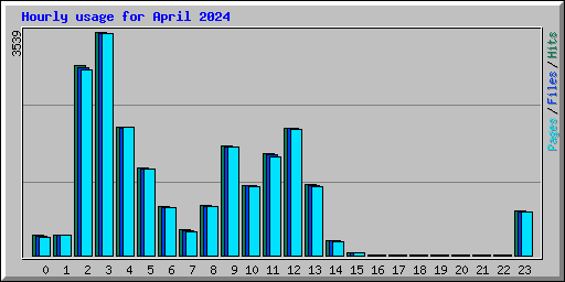 Hourly usage for April 2024