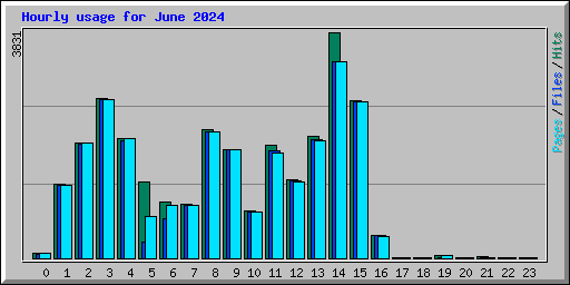 Hourly usage for June 2024