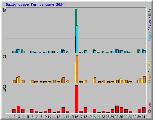 Daily usage for January 2024