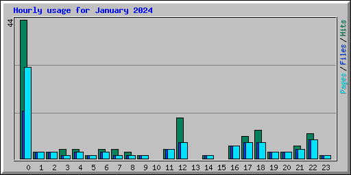 Hourly usage for January 2024
