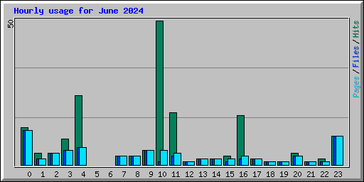 Hourly usage for June 2024